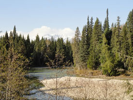 River  near Canadian Country Cabins