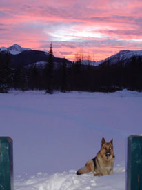 Sunsets at Canadian Country Cabins