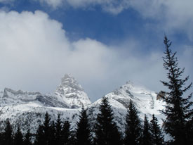 Views at Canadian Country Cabins