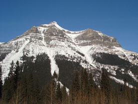 Views at Canadian Country Cabins